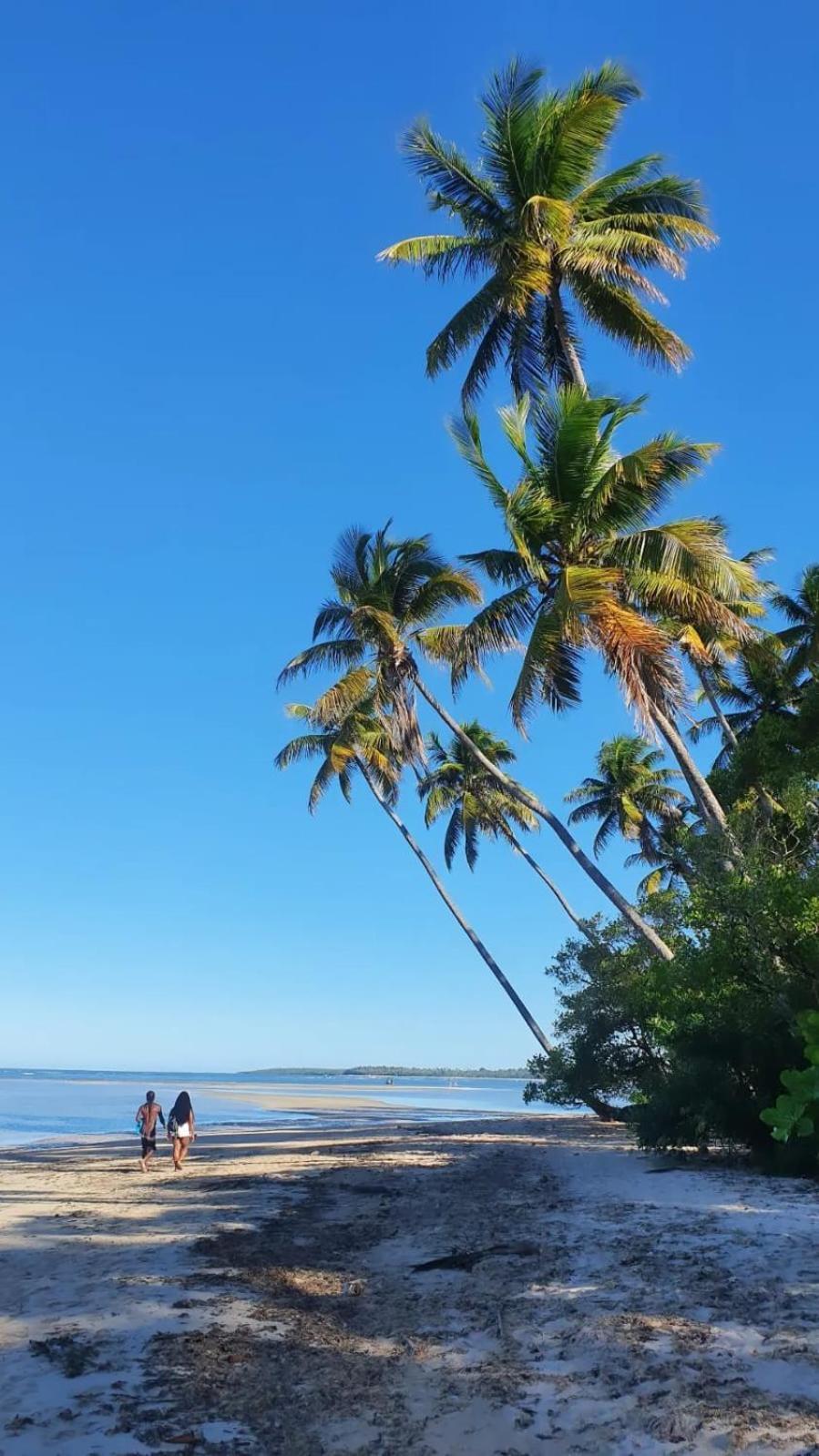 Pousada Village Feliz Boipeba Velha Boipeba Ngoại thất bức ảnh